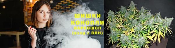 спиды Осинники