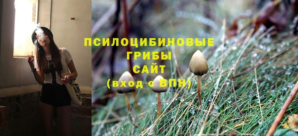 гидропоника Осташков