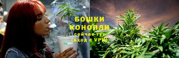 спиды Осинники