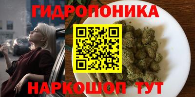 прущие грибы Бийск
