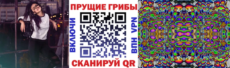 продажа наркотиков  Ханты-Мансийск  Галлюциногенные грибы Cubensis 